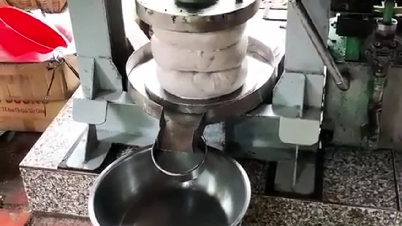 🍌🌴 Milk Out of Coconuts! | FeedMyCuriosity