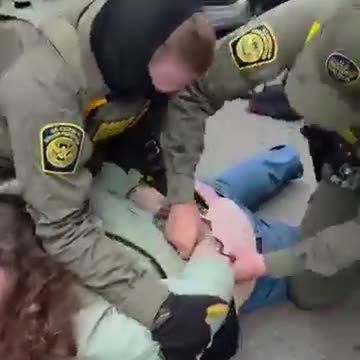 Debbie Brockman: WGN Journalist Allegedly Detained for Interfering with Federal Agents