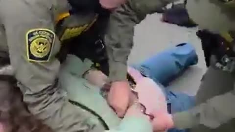 Debbie Brockman: WGN Journalist Allegedly Detained for Interfering with Federal Agents