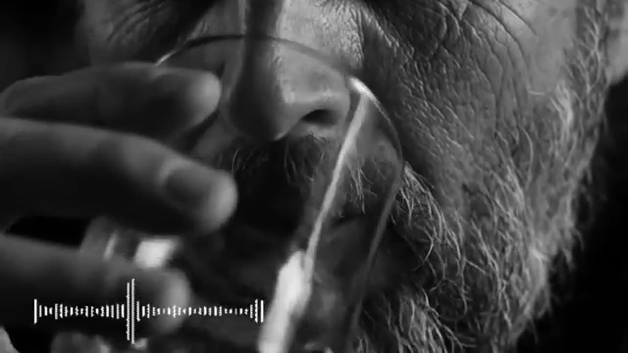 Whiskey Blues | Deep Soulful Blues to Heal Your Mind