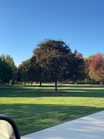 Is that where Adam and Eve