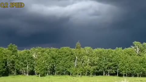 Alleged UFO Captured on Surveillance Camera in Yellowstone National Park