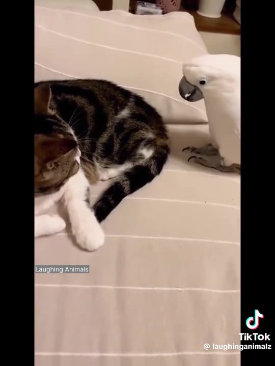 PROVOKING TUESDAY 10/14/25