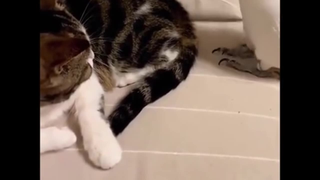 PROVOKING TUESDAY 10/14/25