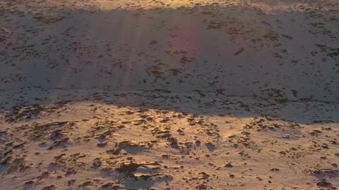 🌄 Rise Above Fear | 432Hz Grabovoi Frequency for Courage & New Beginnings