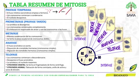 SAVIA REGULAR 2025 | Semana 09 | Biología