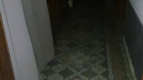 👻🏠 Ghost in My Stairs | TheHauntingHour