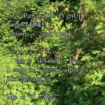 Alchemical Renewal | Path and Tarot Reading