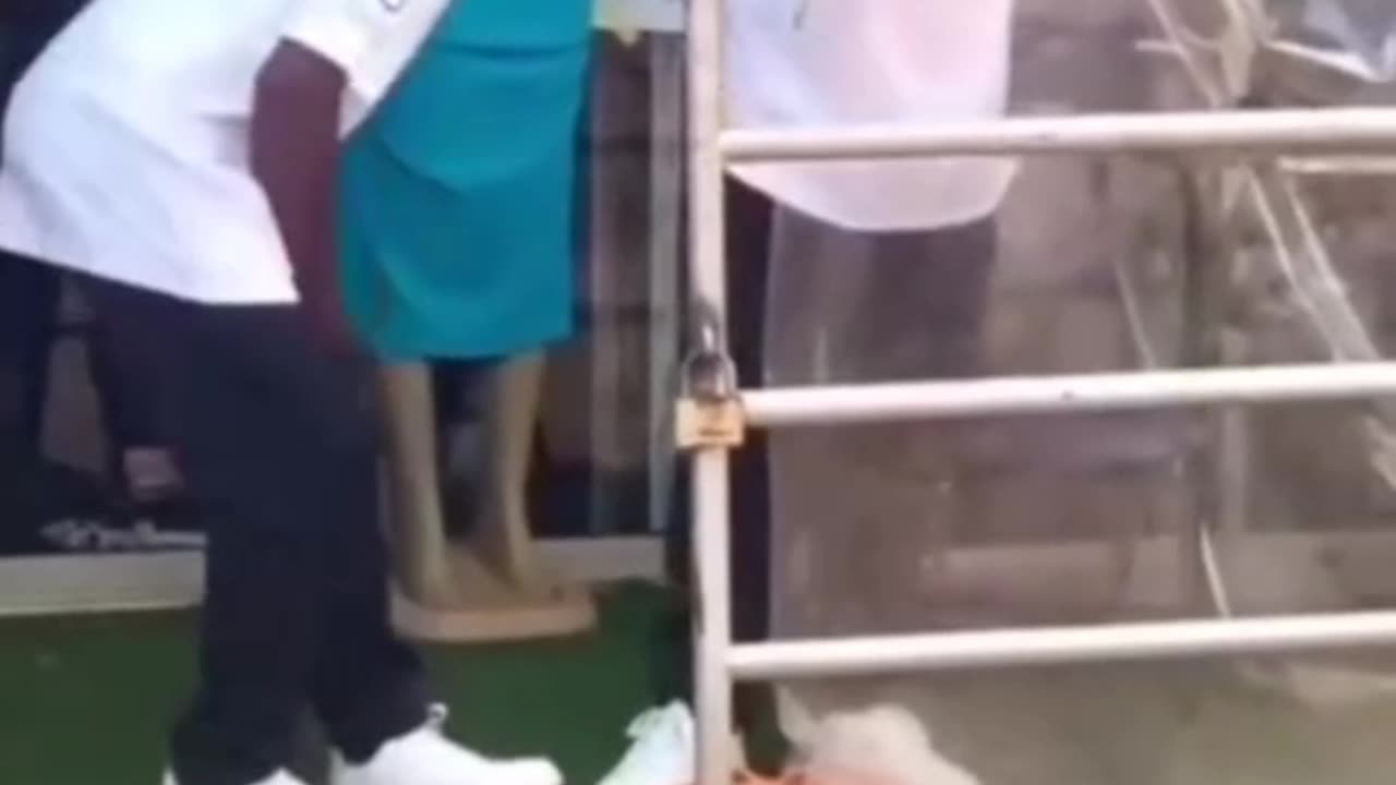 Can't stop laughing. 😁