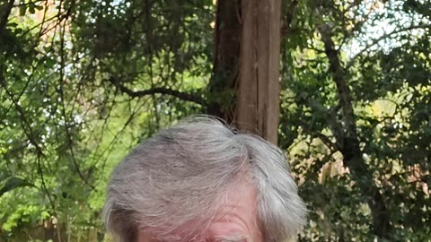 36. The Plan to Rescue Hitler