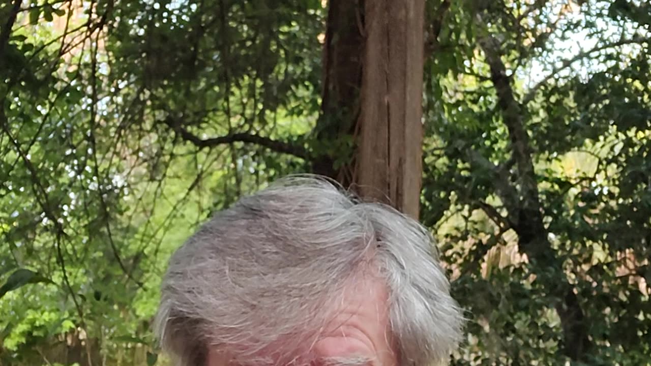 36. The Plan to Rescue Hitler