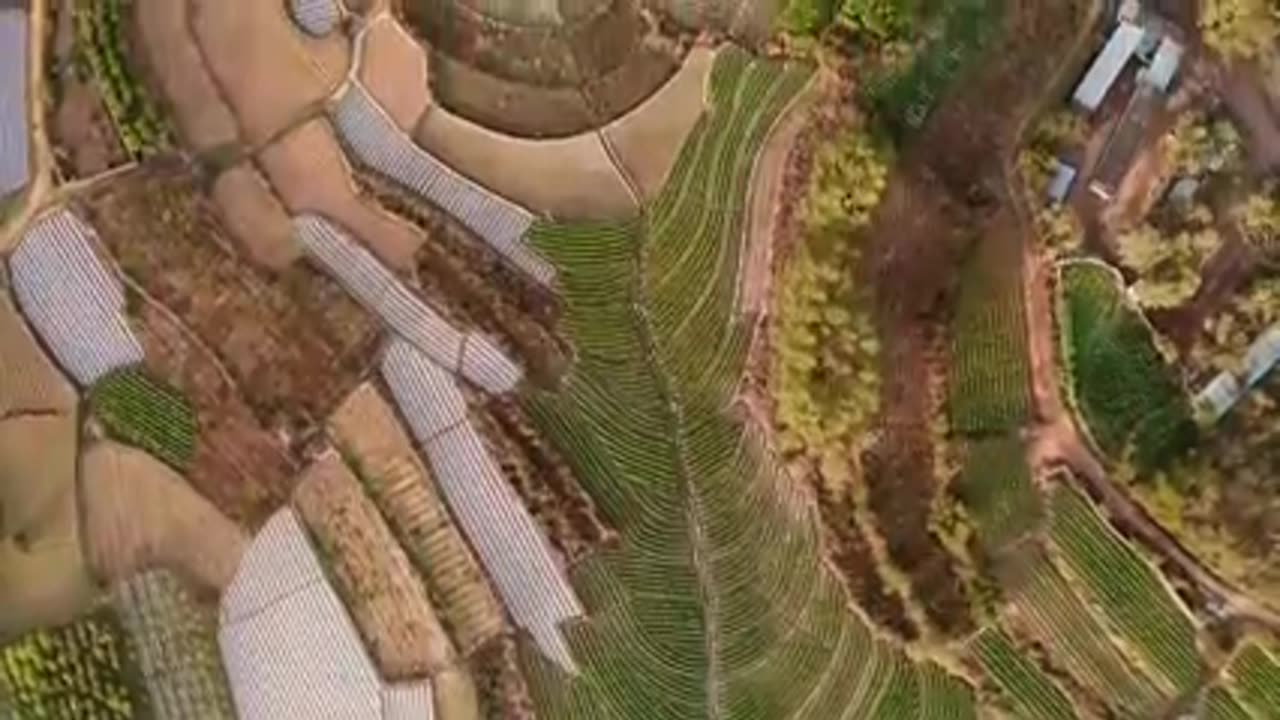 US Agriculture and Energy Sector Crushed by China's Decision