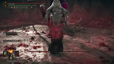 Elden Ring DLC NG+1 | Romina, Saint of the Bud boss fight co-op w/Mimic Tear #eldenringbosses