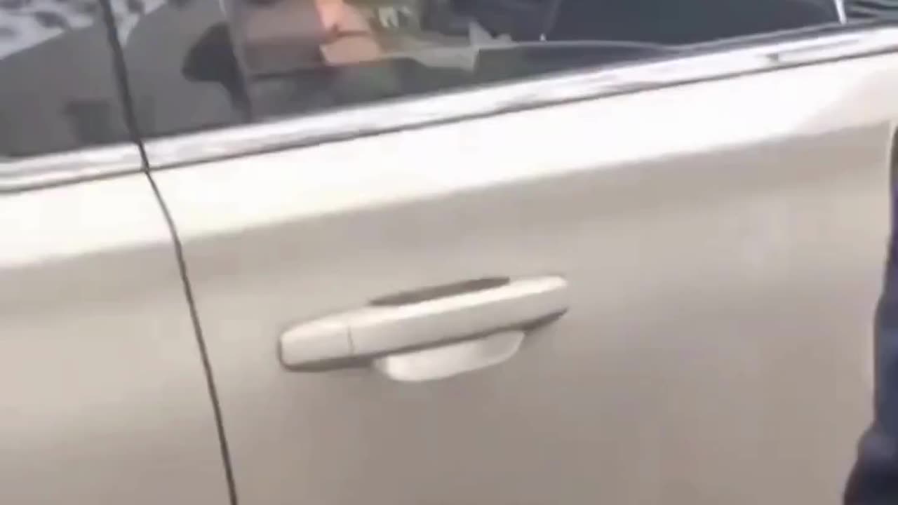 DHS agent pulled a firearm to defend himself from the mob.