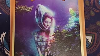 Oracle Card Reading 11/21/25