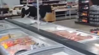 🤯🥩 You Won't Believe How Fresh This Meat Really Is! | FunFM