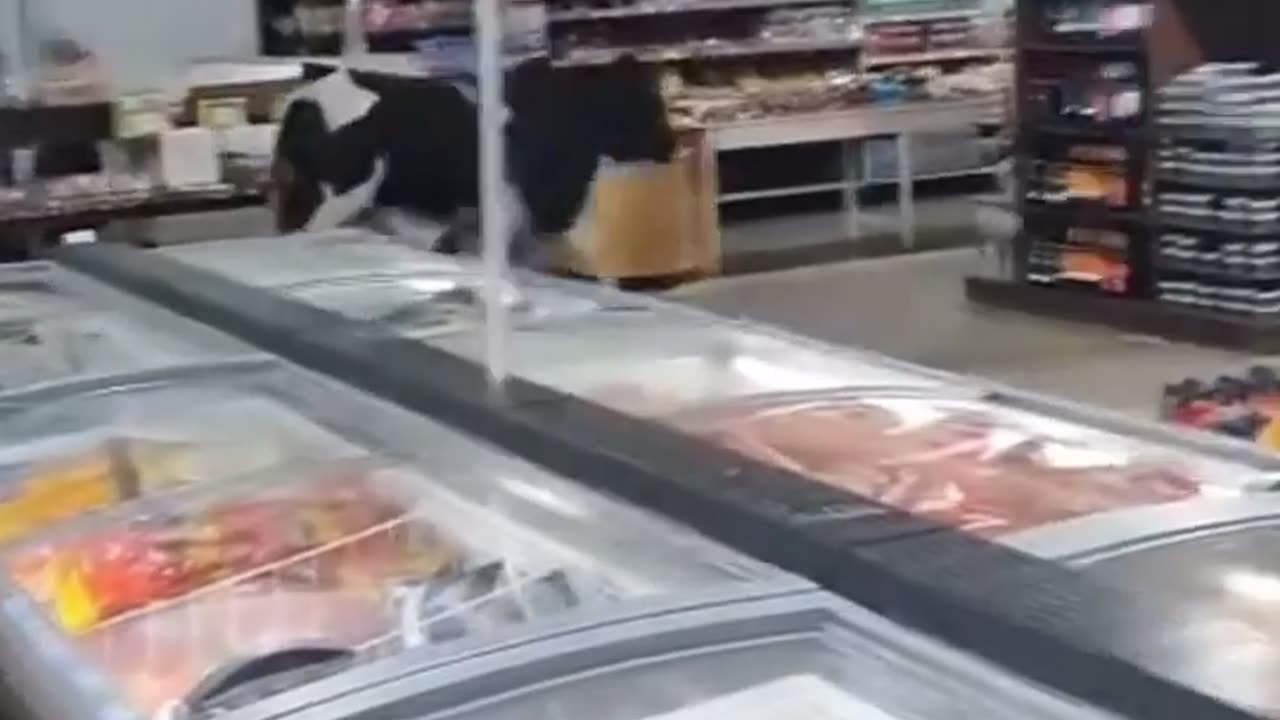 🤯🥩 You Won't Believe How Fresh This Meat Really Is! | FunFM