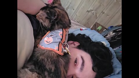 Morning snuggles from Rosie Mae 💕