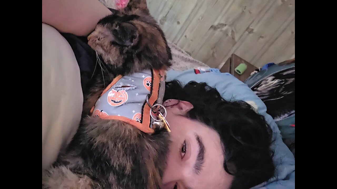 Morning snuggles from Rosie Mae 💕