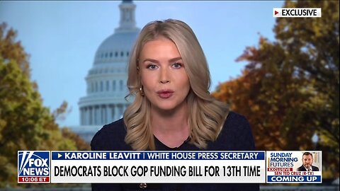 Karoline Leavitt Calls Out Radical Left Democrats