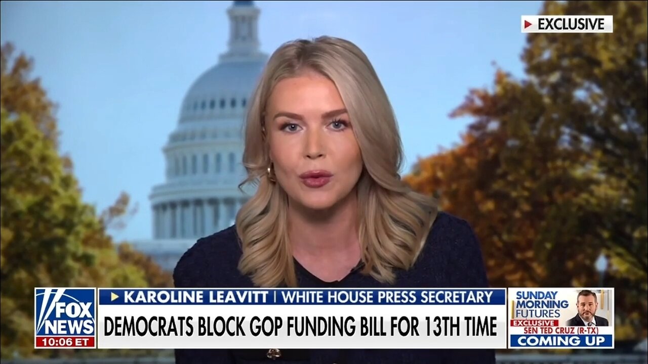 Karoline Leavitt Calls Out Radical Left Democrats