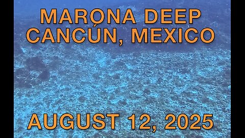 SCUBA Diving Marona Deep, Cancún, Mexico