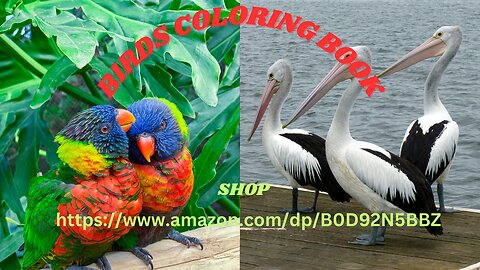 ABC Birds Coloring Book for Preschoolers: Learn the Alphabet with 26 Adorable Birds