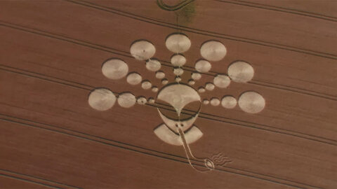 Pipe smoking alien crop circle