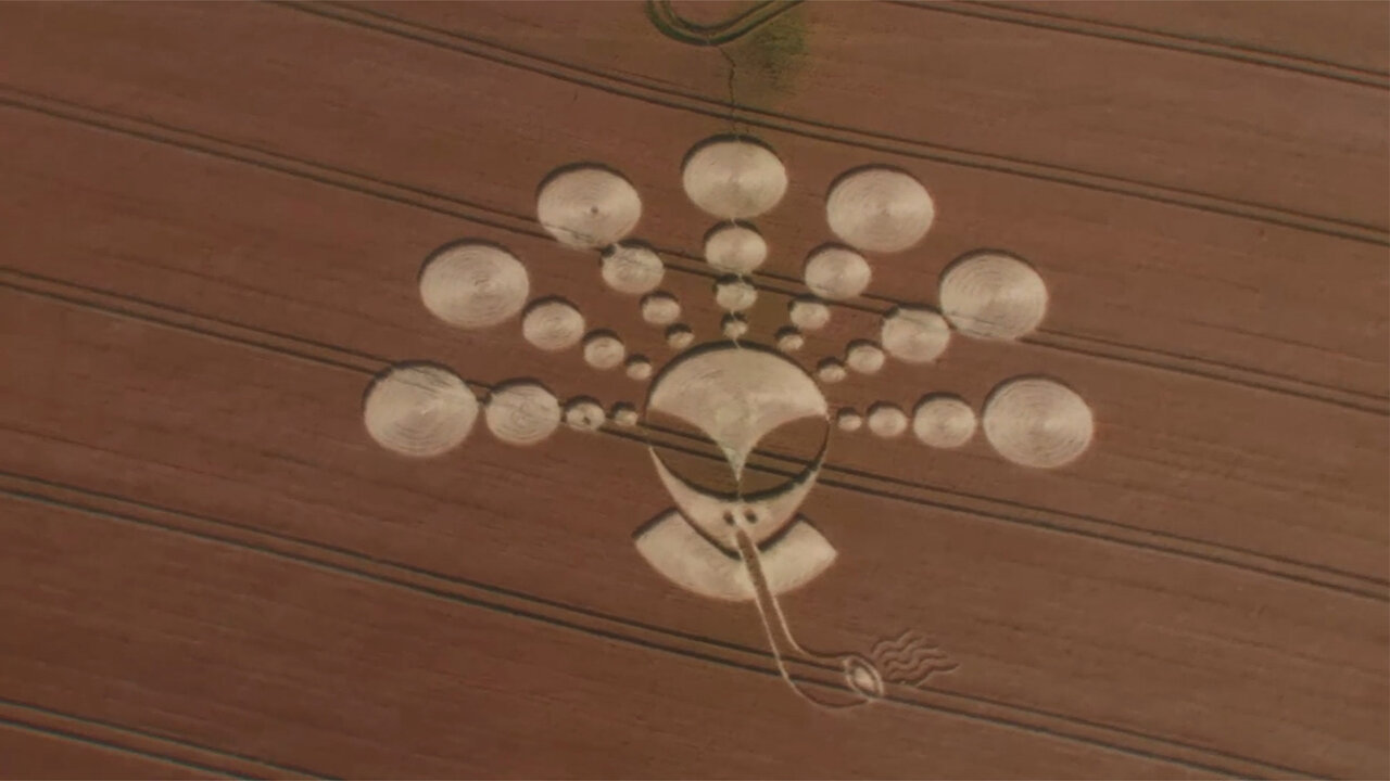 Pipe smoking alien crop circle