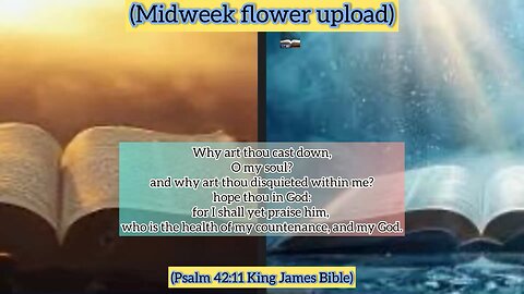 (Midweek Power Upload) (Psalm 42:11 King James Bible) Midweek Reflections: