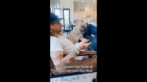 Love All Life Always #459 - Find Someone Who Looks At You The Way Your Dog Does.