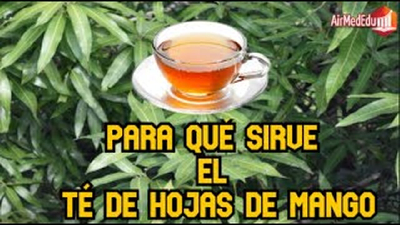Para qué Sirve el Té de Hojas de Mango
