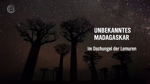 Unbekanntes Madagaskar： Im Dschungel der Lemuren ｜ Erlebnis Erde