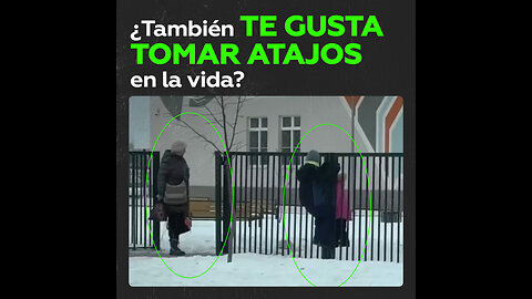 Niño intenta salir de la escuela y vive una divertida aventura