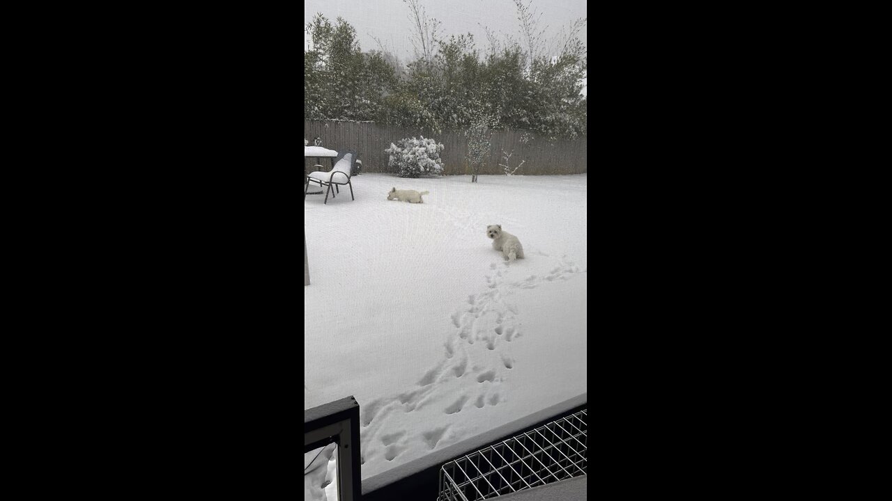 Snow in Gulf shores area of America