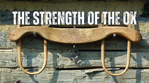 Throwback Tuesday - The Strength of the Ox