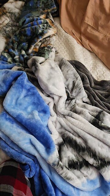 Sleep tight, dont let anything bite or constrict