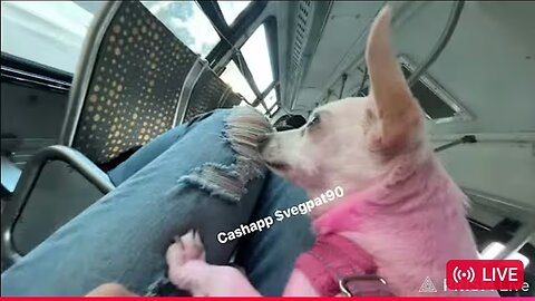 🛑 VP (P1 W/CHAT) TAKES THE BUS TO VENICE BEACH TO MEET DJ DARREN 1-18-26