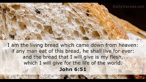 John 6