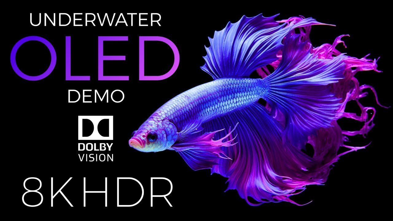 Underwater World OLED Demo HDR 8K Ultra HD Dolby Vision™ 60fps 2024