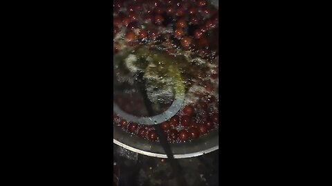 gulabjamun indian sweet