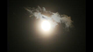 LDGI ( 01-19-2025 Mon ) TIME TO GET IT ON 1776!!!