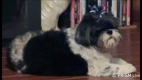 🛑 MIKE STROKEOFF-SHORT RIDE & MORE 1-4-26