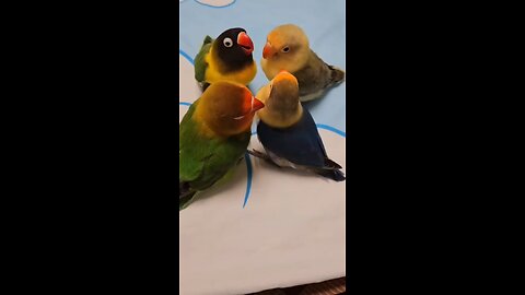 meeting