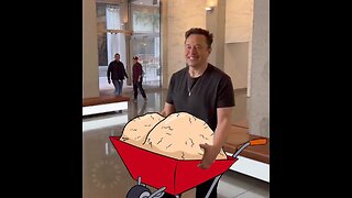 Jesse Watters "hogs get slaughtered" ELON TRUMP DOGE whose hands is that money really ending up in?