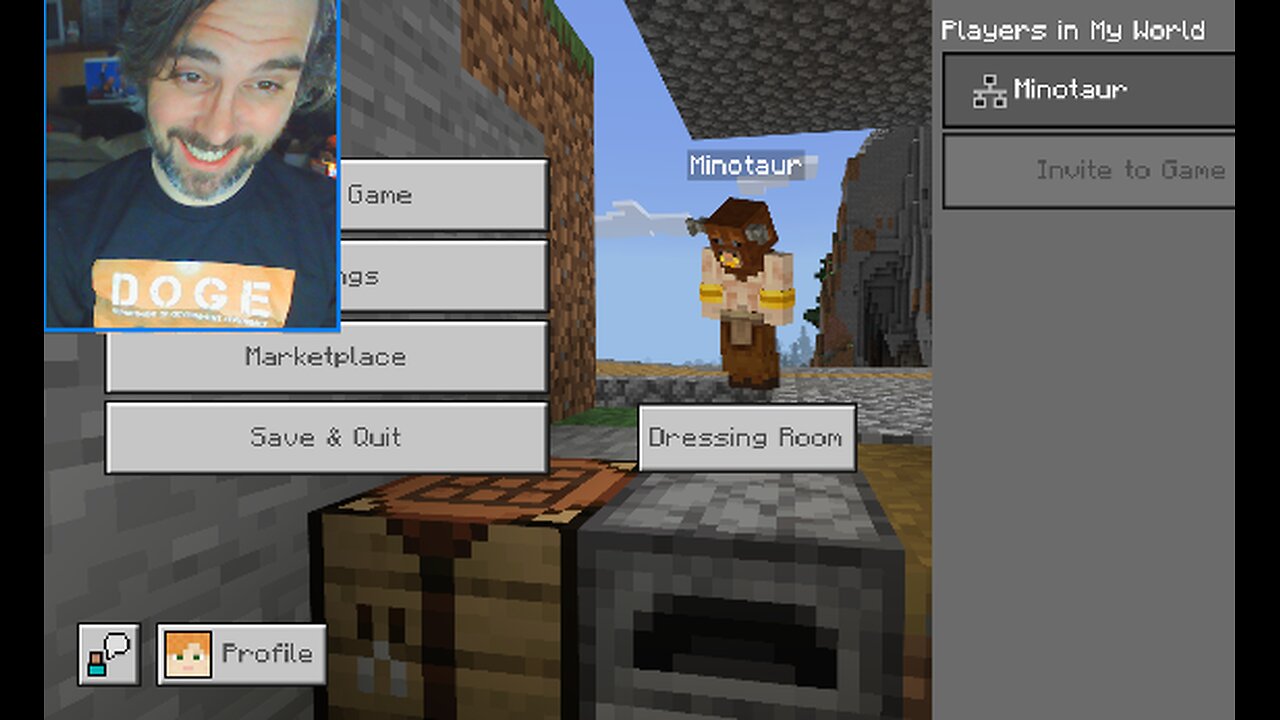 Minecraft (survival)
