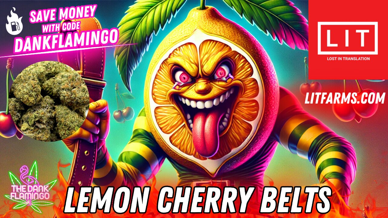 Are Lemon Cherry Belts Slappin' from Lit Farms? The Dank Flamingo Review!!