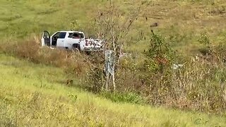 Lab infected monkeys escape from truck in Mississippi