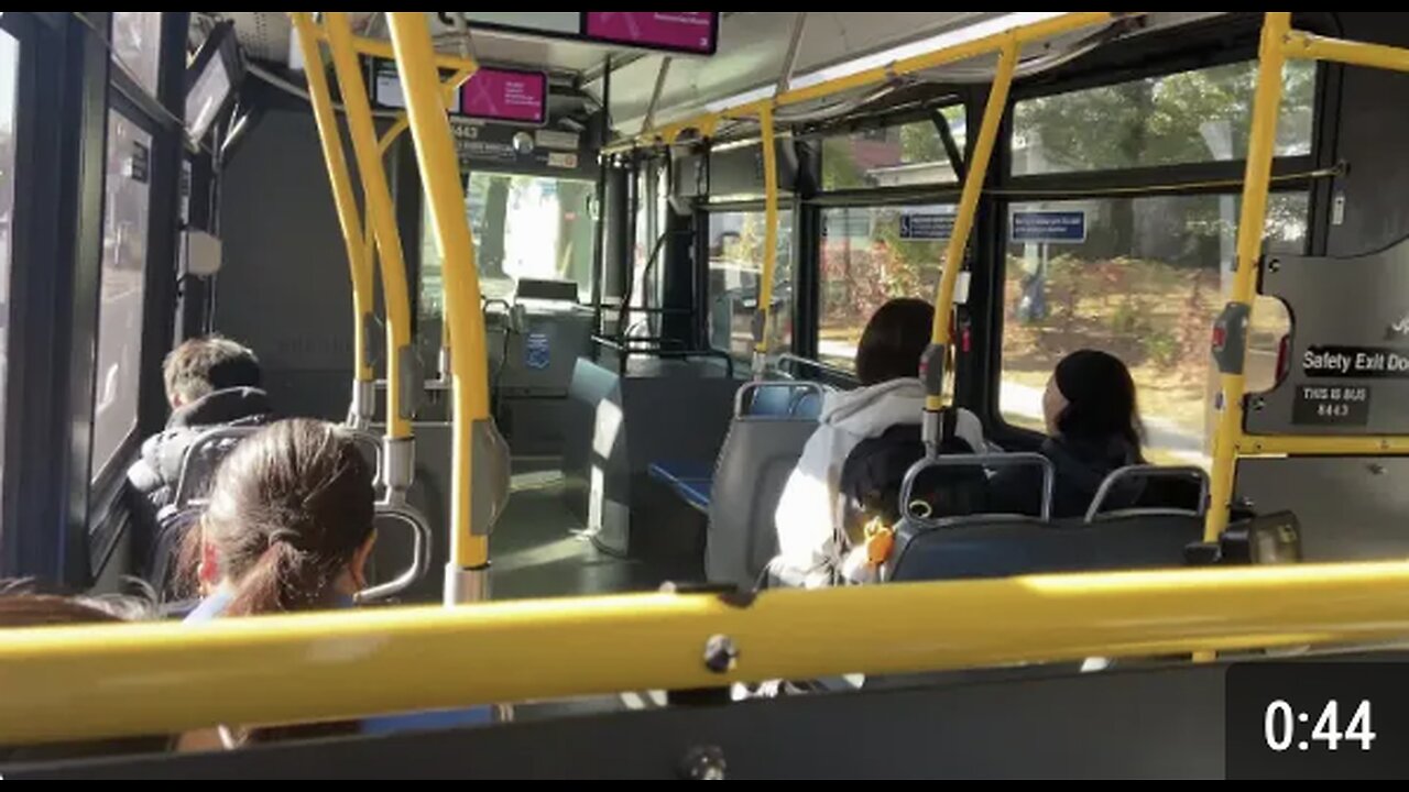 Fresh Meadow Mta bus Ride