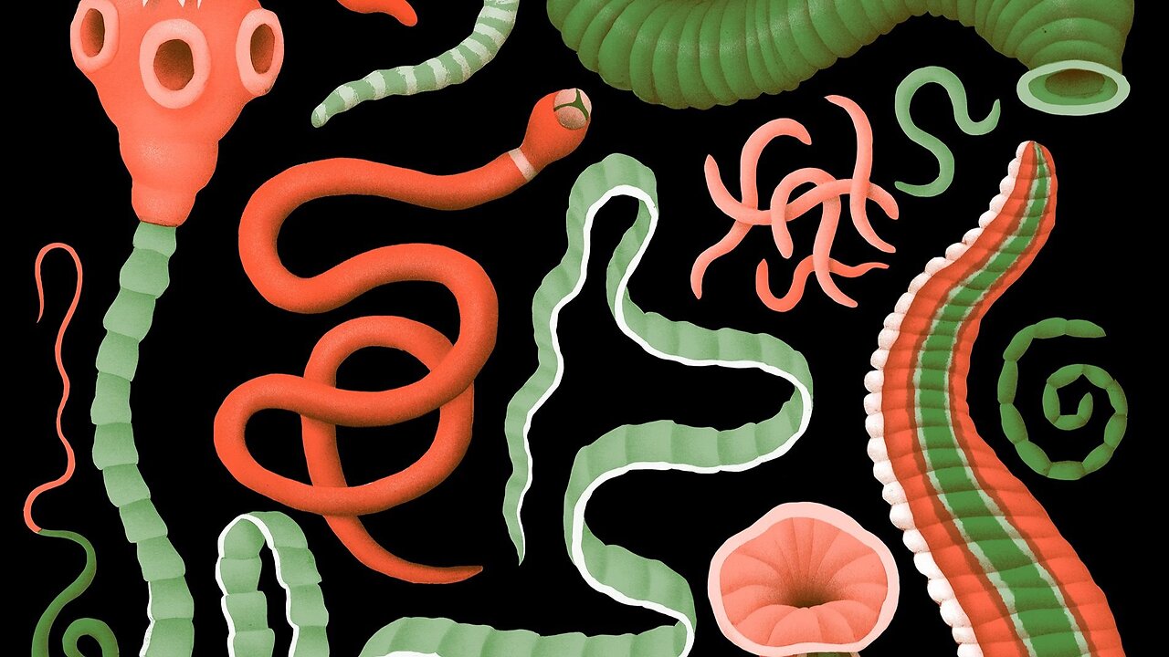 Orange Peel Structured Water & Parasites